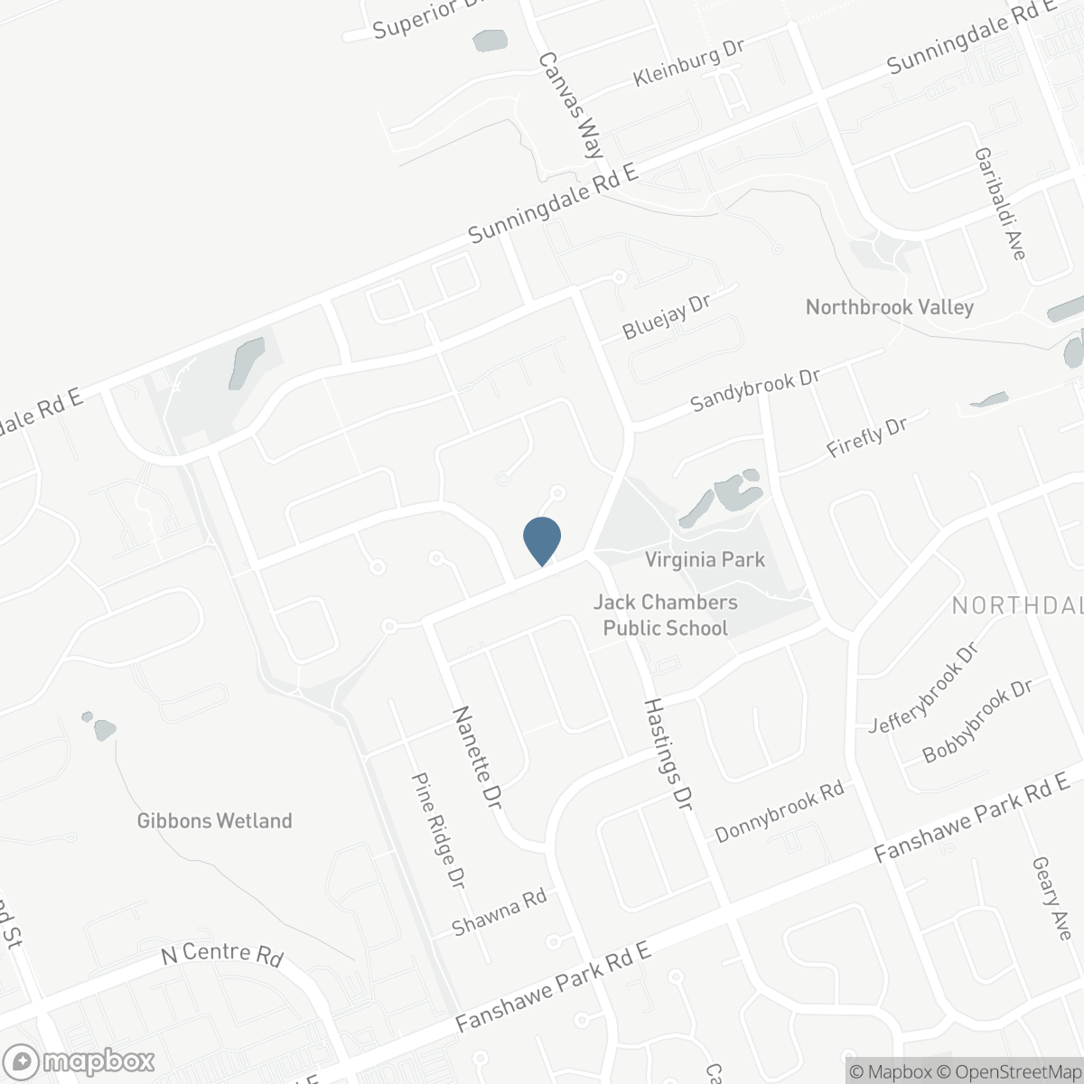 322 CHAMBERS PLACE, London, Ontario N5X 4H4